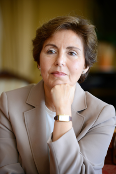 Gulru Necipoglu image